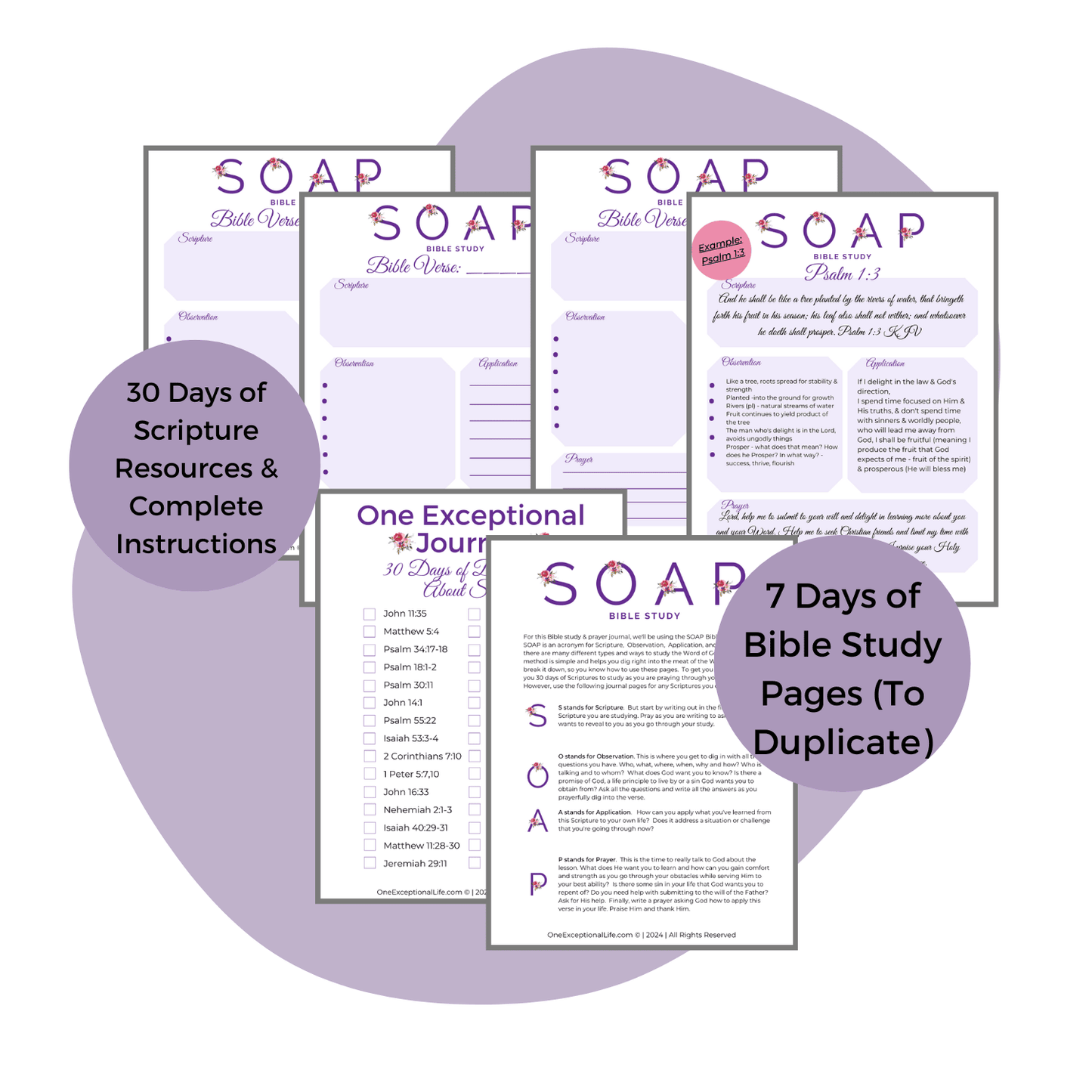 From sorrow to joy soap study mockup