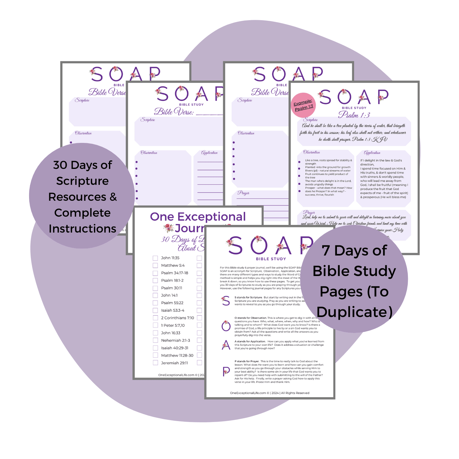 From sorrow to joy soap study mockup