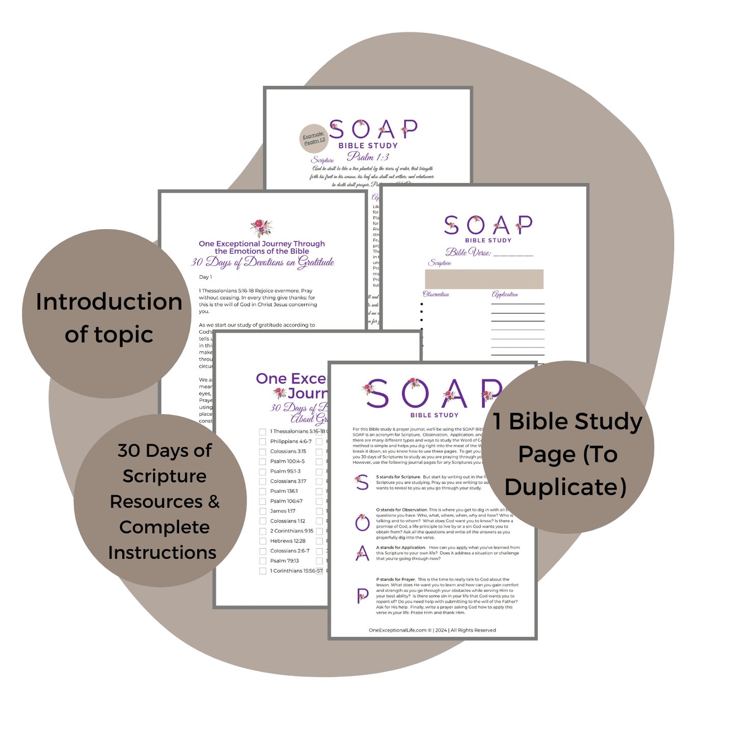 Gratitude in Action, a bible study mockup, soap study, topical worksheets, purple background