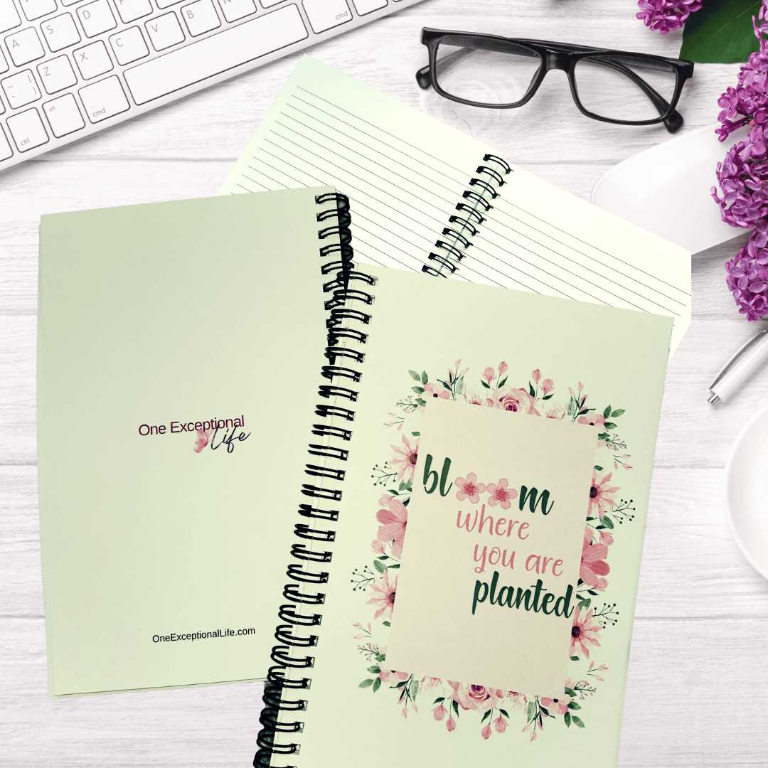 Joyful Inspiration Journals mockup, bloom where planted, open journal, glasses