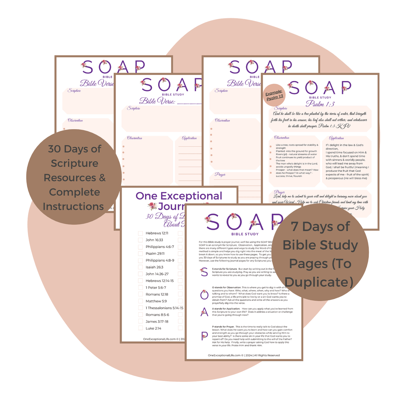 peaceful heart, embracing calm devotional, bible study with soap worksheets mockup,
