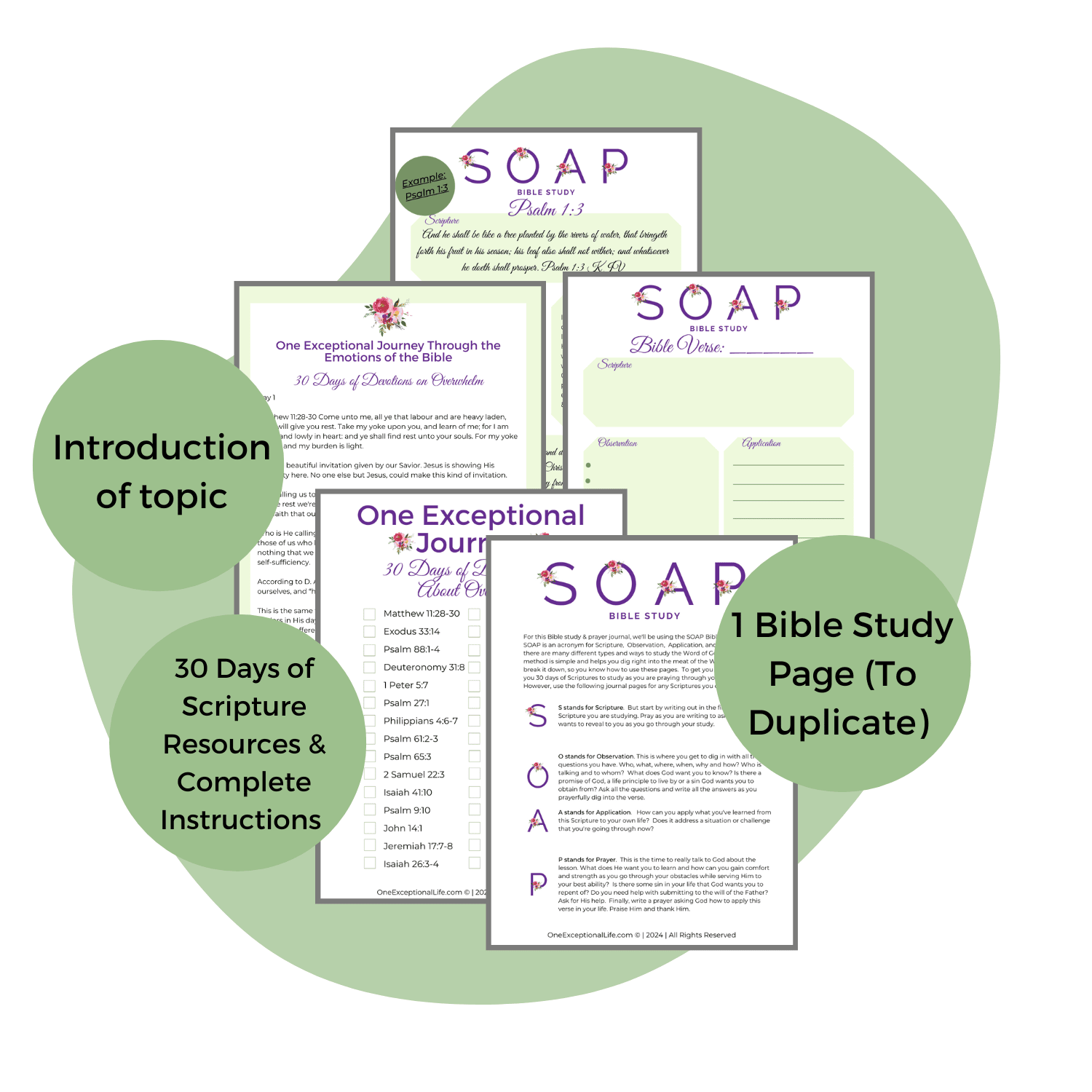Unburdened Bible Study mockup, green background, soap study and a variety of pages from the study