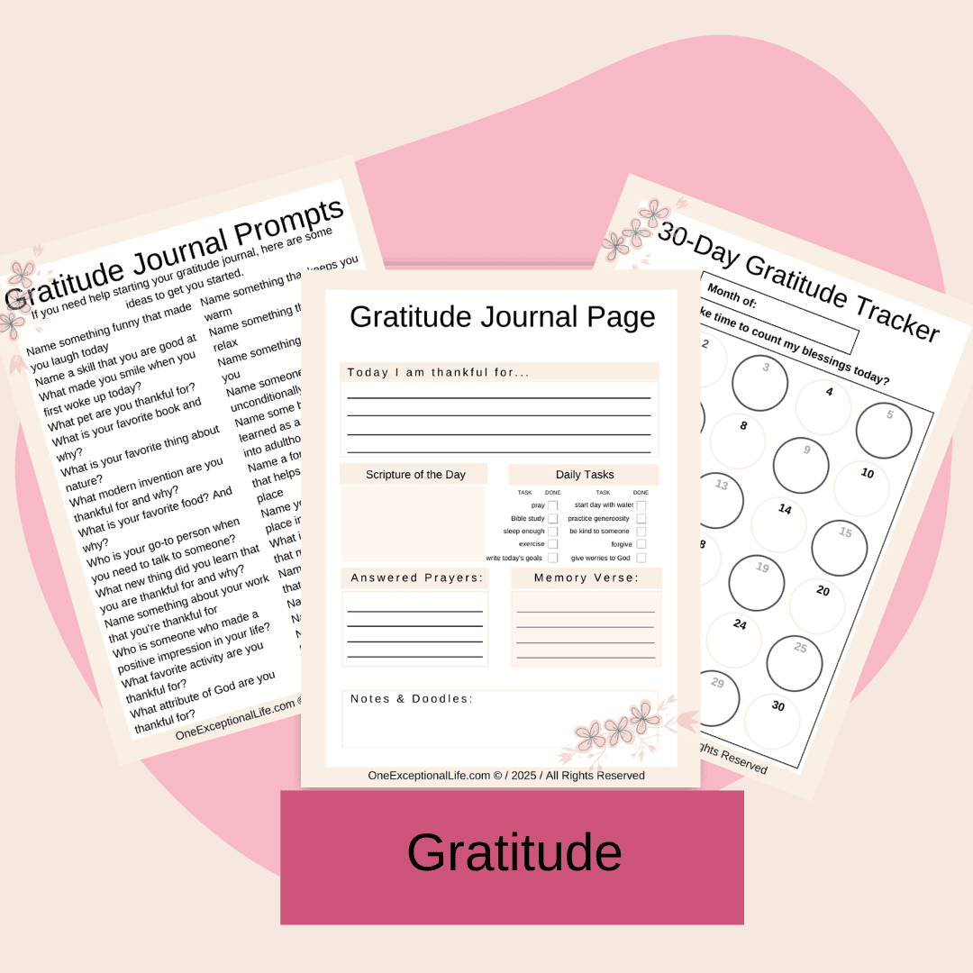 Living in Faith Spiritual Growth Planner mockup consisting of a variety of gratitude worksheets, pink background