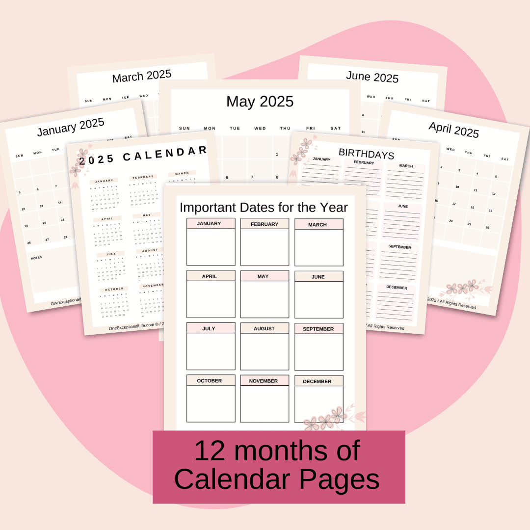 Living in Faith Spiritual Growth Planner mockup consisting of a variety of calendar pages, pink background